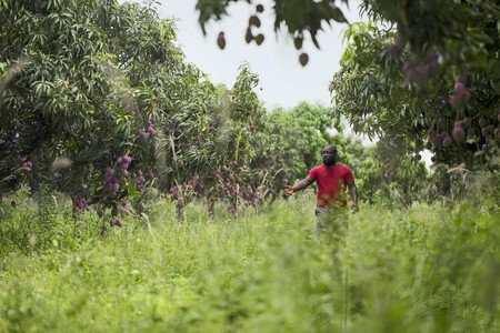 Les Journées de Soleure annoncent la programmation de la 61e édition