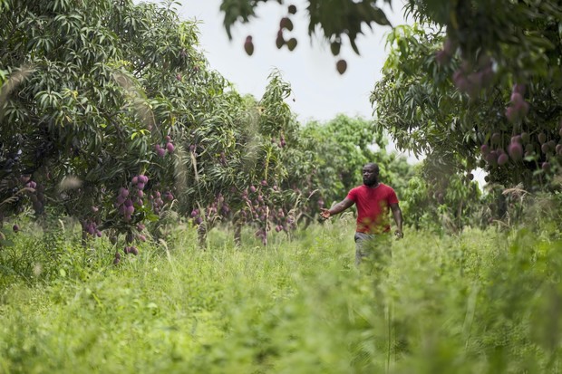 Les Journées de Soleure annoncent la programmation de la 61e édition