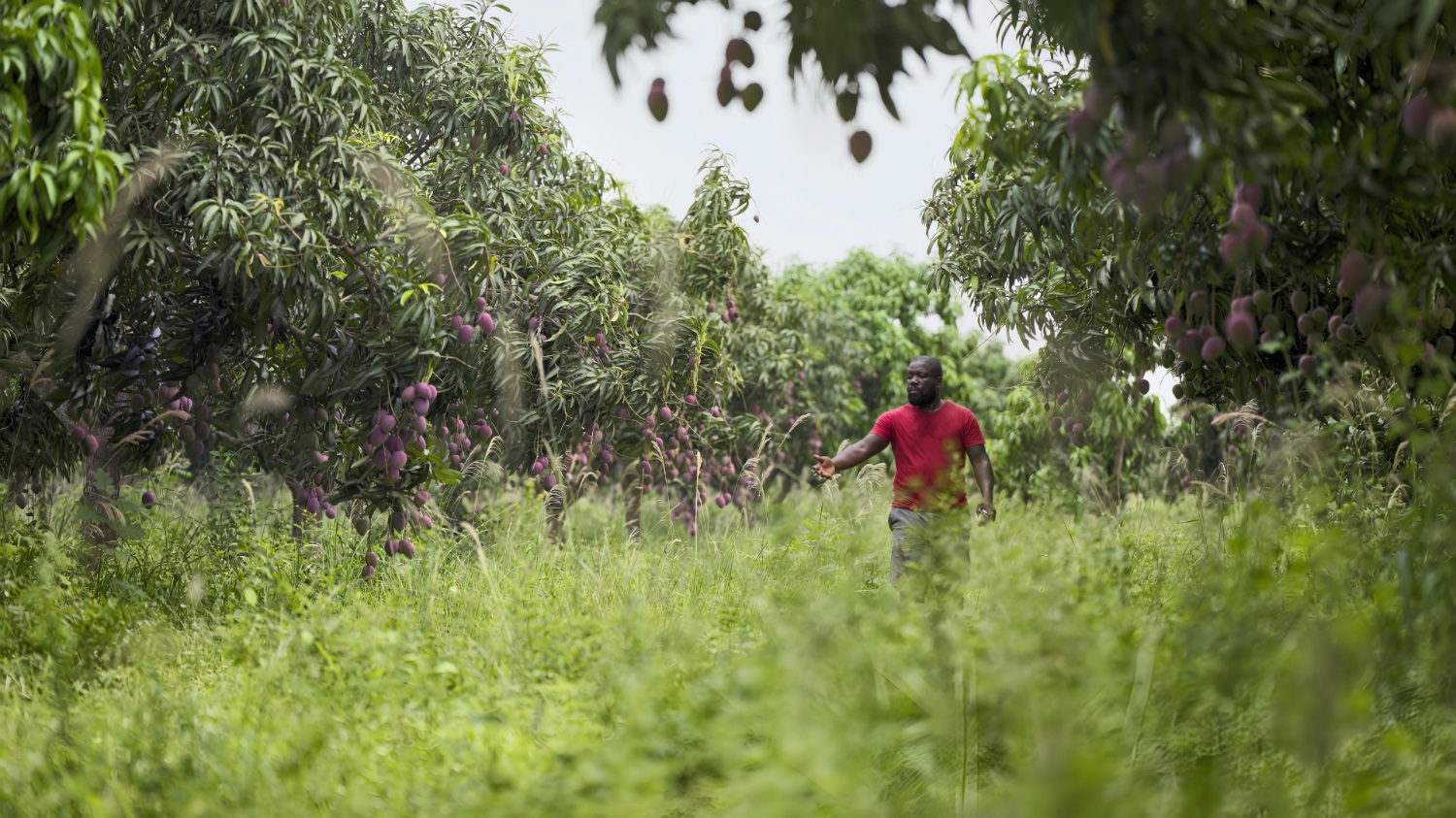 The Solothurn Film Festival announces the programme for its 61st edition