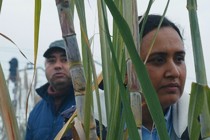 Good Valley Stories - by José Luis Guerin