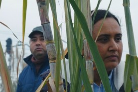 Histoires de la bonne vallée - de José Luis Guerin