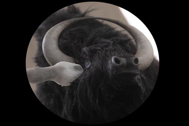 GoCritic! Review: Blessed