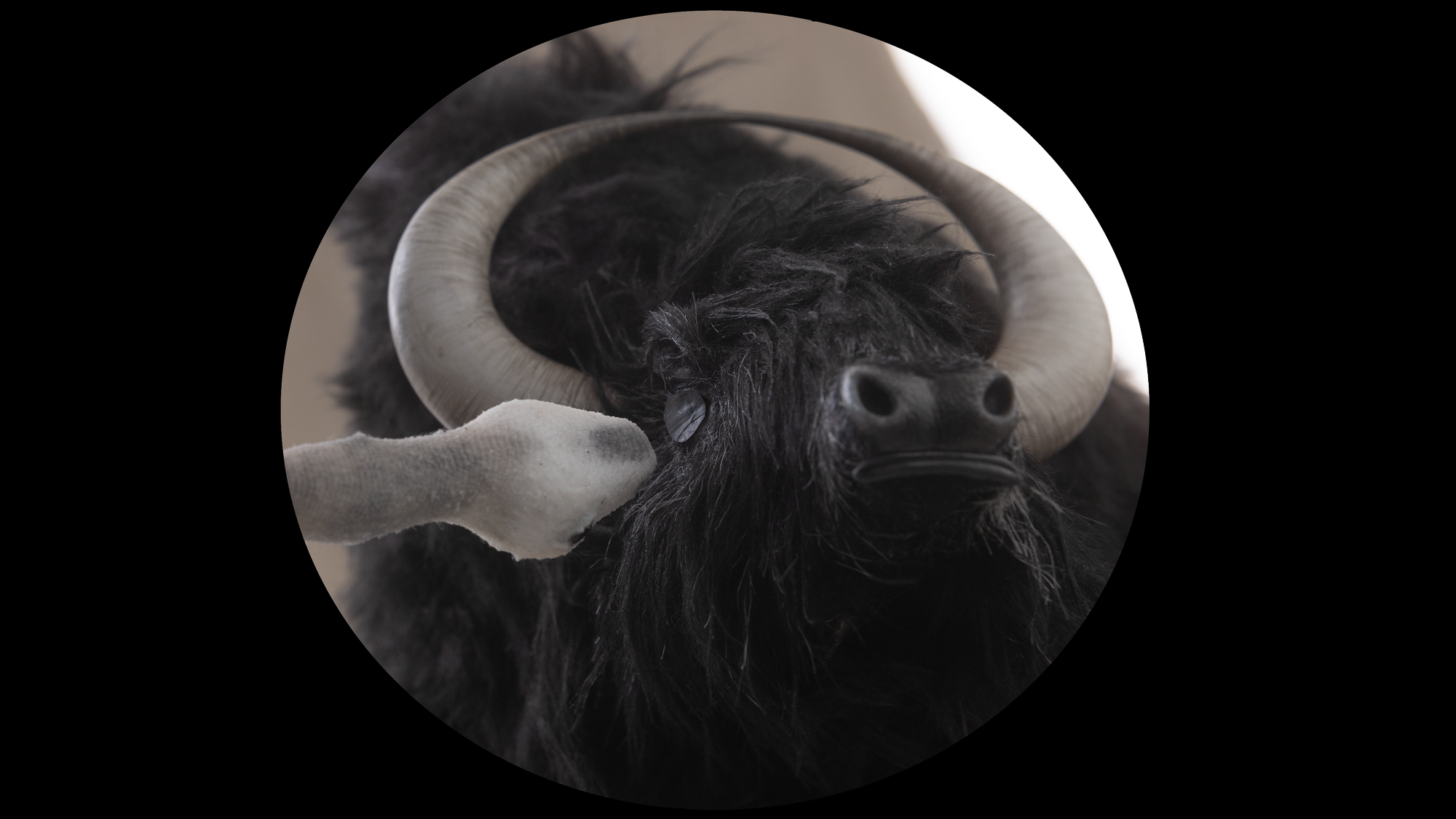 GoCritic! Review: Blessed