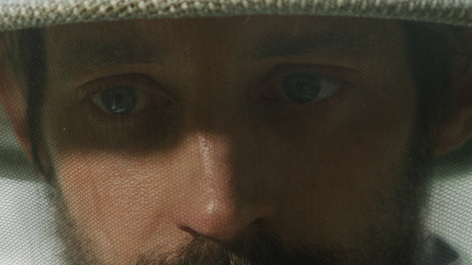 Review: The Quiet Beekeeper