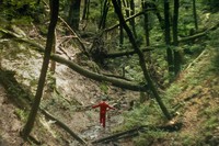 Critique : Nessuno vi farà del male