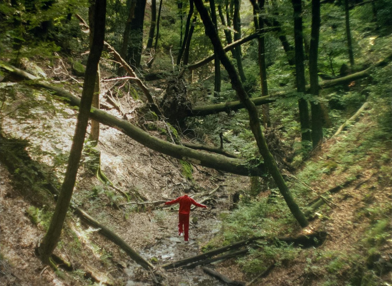 Review: No One Will Hurt You