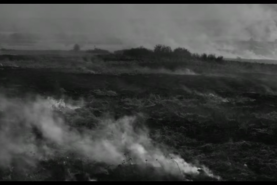 Rose - di Markus Schleinzer