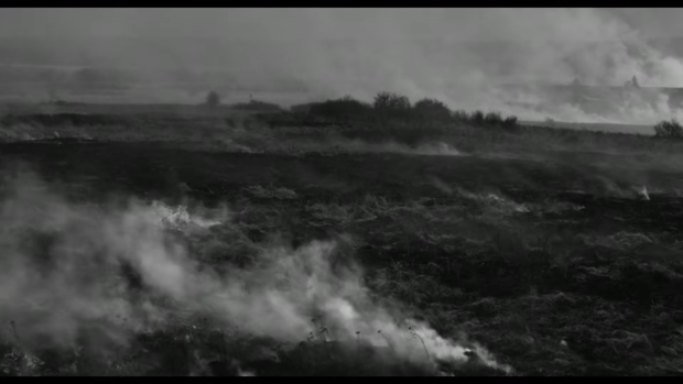 Rose - de Markus Schleinzer