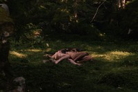 Recensione: Forêt Ivre