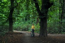 Review: My Wife Cries