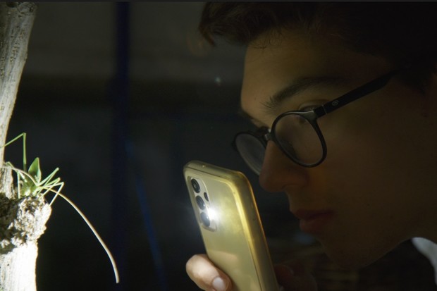 The 28th Thessaloniki International Documentary Festival unveils its competition titles