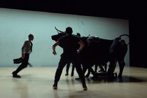 Cinedans FEST regresa a Ámsterdam para su 22.ª edición