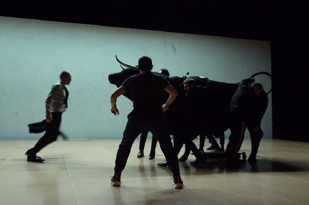 Cinedans FEST returns to Amsterdam for its 22nd edition