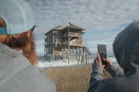 Review: We Have to Survive