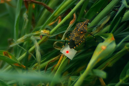 REPORT: CPH:FORUM 2026