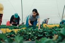 Lucky Number plans to sell numerous titles at Cannes
