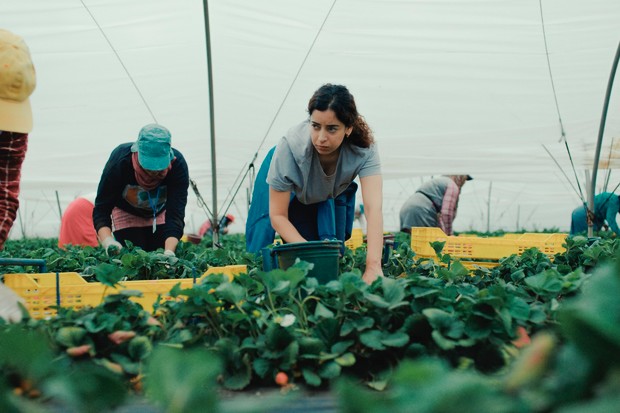 Lucky Number plans to sell numerous titles at Cannes