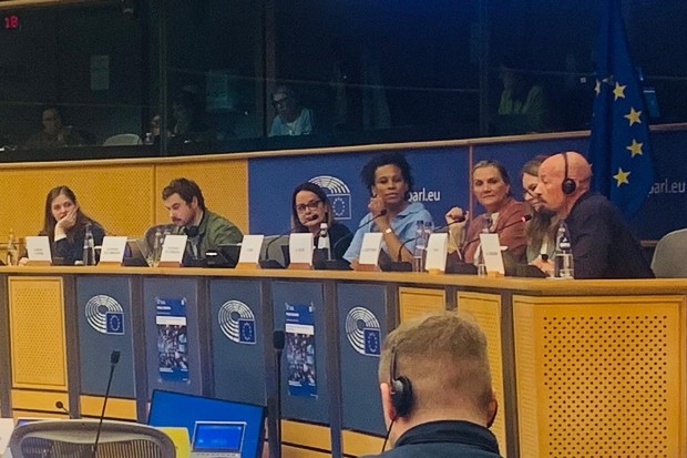 The European Parliament hosts a public hearing on the audiovisual policy framework and the future of creative freedom