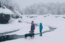 Critique : Dégel
