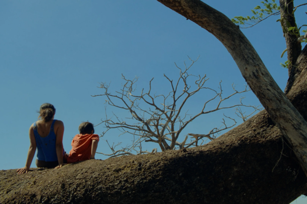 EXCLUSIVE: Luminalia boards world sales on Sofía Quirós Úbeda’s sophomore feature, Silent Birds
