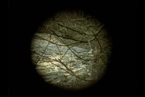 (S8) prepara un’edizione all’insegna dell’eclissi