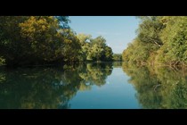 Hidden People