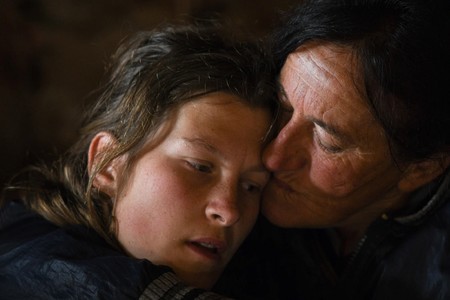 European titles submitted for the Oscars race