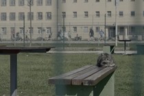 Critique : When I Get Out