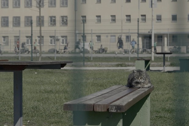 Review: When I Get Out
