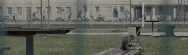 Ko pridem ven