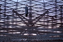 Recensione: Dau