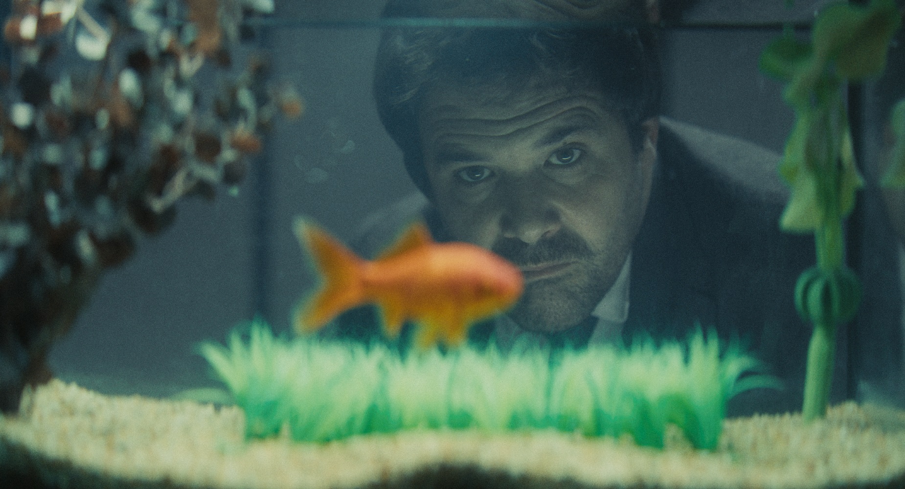 Review: The Last Goodbye - Cineuropa